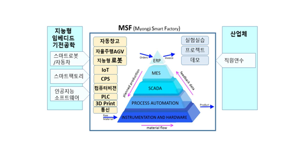 MSF조직도